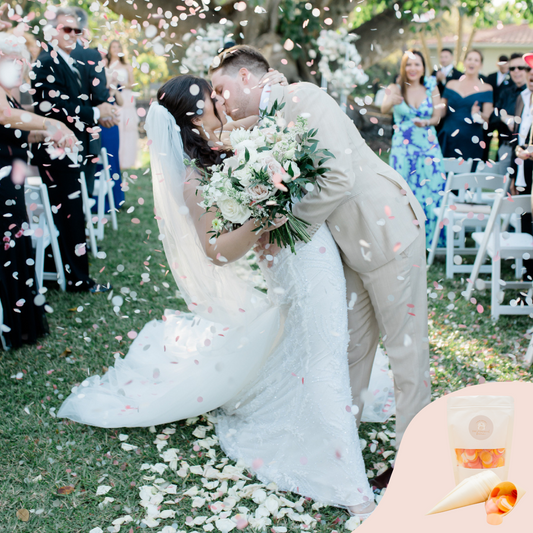 Circle Confetti Kit with Natural Wood Cones