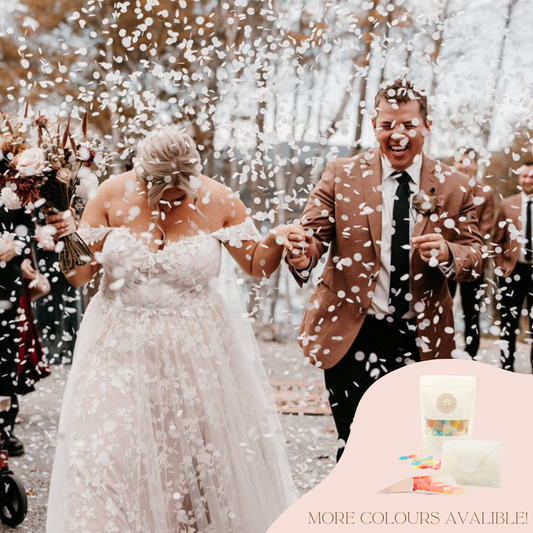 Circle Confetti Kit with Translucent Envelopes + Embossed stickers