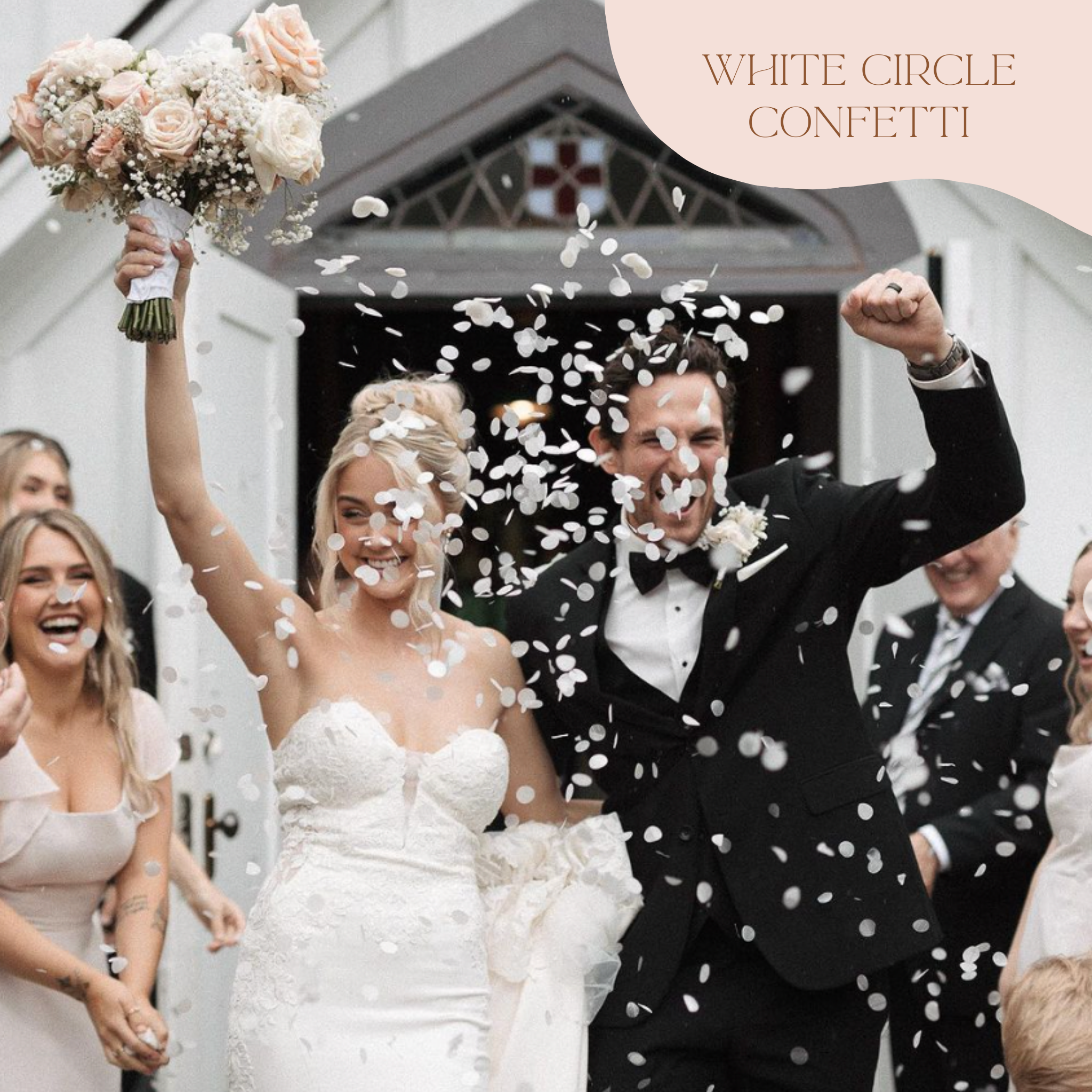 Circle Biodegradable Confetti Bulk Bag (Confetti Only)